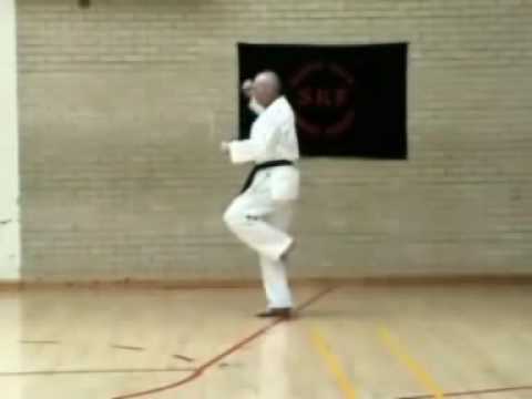 Martin Day Fitness - Advanced Black Belt Katas - DVD Extract