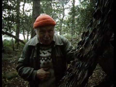 Weir's Way - Wester Ross: Loch Maree Part 1