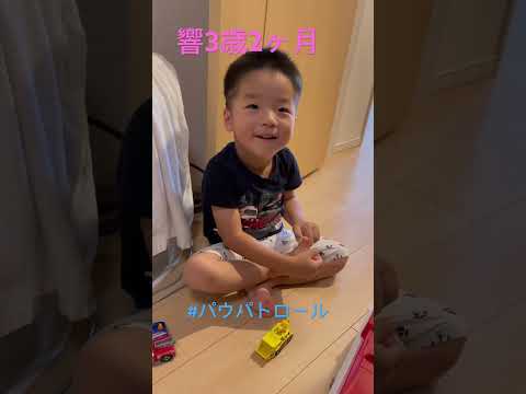 こども学科 #パウパトロール