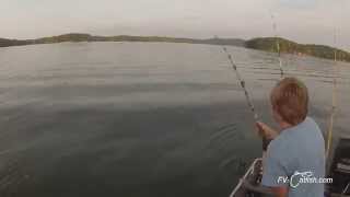 Learning to Fight a Big Blue