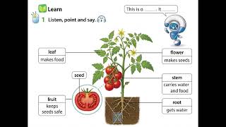 Science 3 unit 2 1