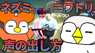 【はじめまして松尾ですコピー】ネズミとニワトリの声の出し方