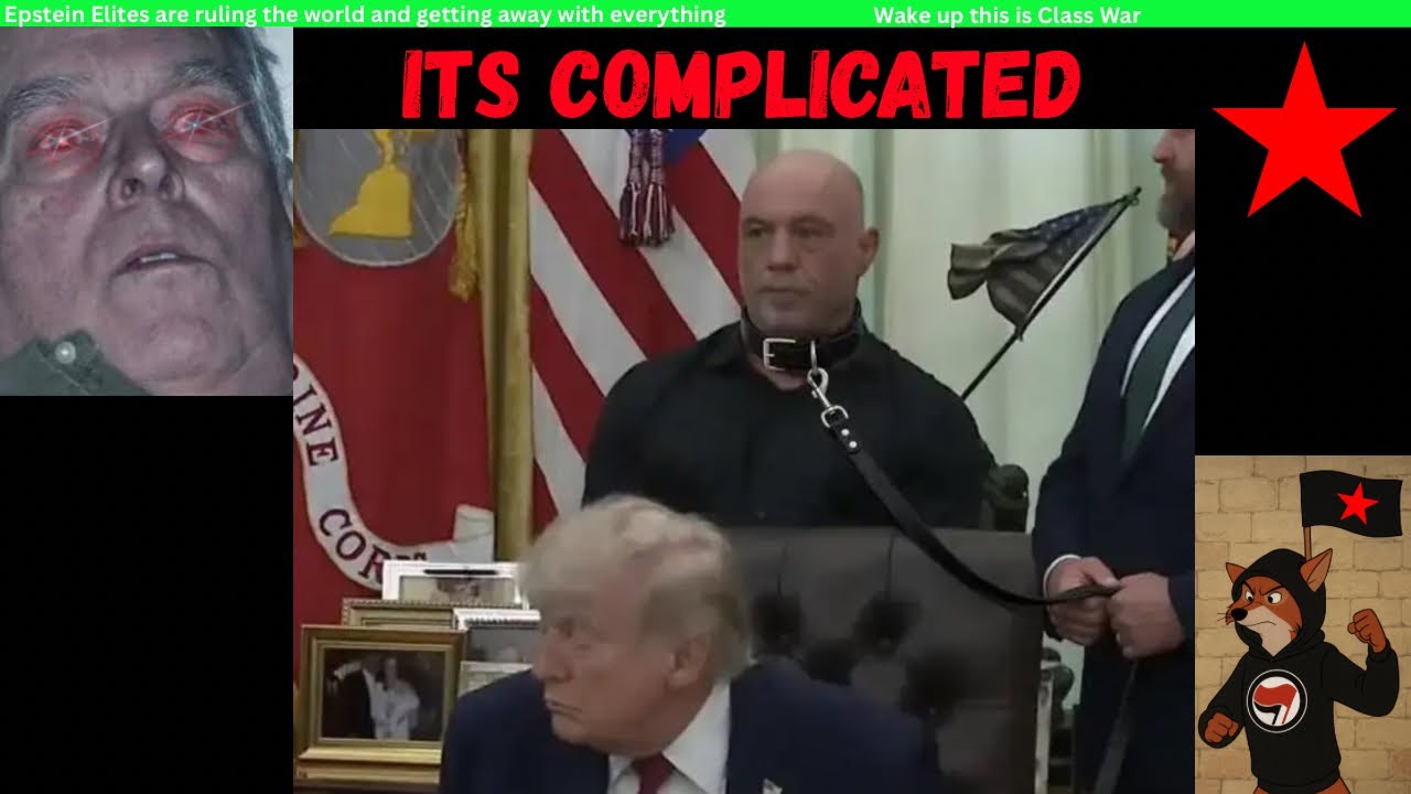 Is Joe Rogan safe?  Ibogaine 4/20 Hustle