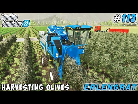 Covering grass silage, HARVESTING OLIVES, preparing for harvest of grapes | Erlengrat | FS 22 | #113