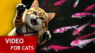 Movie for Cats - Purple Koi Carps (Fish video for Cats to watch) 4K