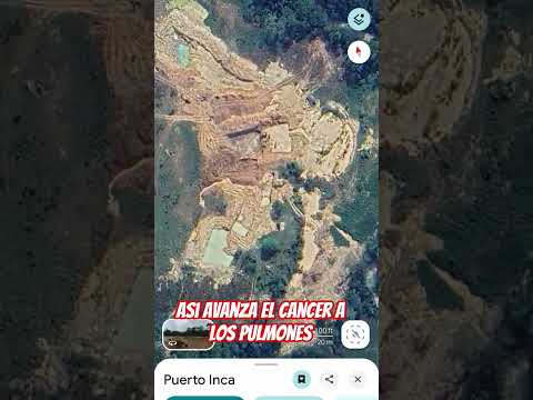 Asi se ve el avance del cancer a nuestros "pulmones" #huánuco #tingomaria #puertoinca #nature #peru