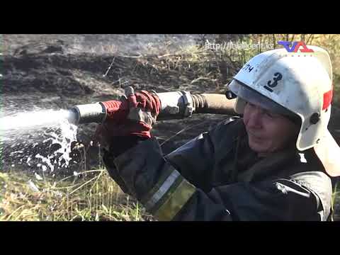 Выпуск программы “День” от 21 сентября 2022г.