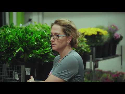 Biggest Flower Market in Australia | FLOWERHUB