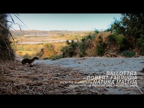 Robert Farrugia - Ballottra