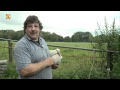 Ooievaar trekt in bij man in Oosterhout