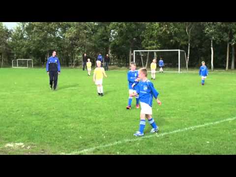 geelwit f1 avc f1 3 0