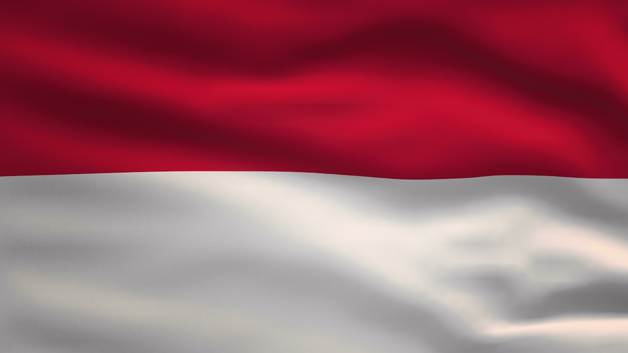 Indonesia Waving Flag Animation | 8k Ultra HD | Flags of the World