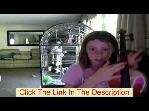 Watch Gypsy Jazz Violin Etude (Lesson) - Blues En Mineur - Gypsy Jazz Violin Etude (Lesson) - Blues