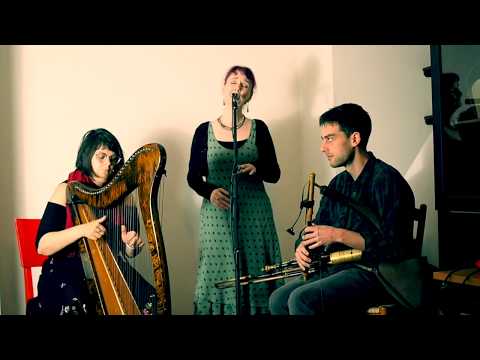The Jolly Beggarman: harp, lilting, & uilleann pipes