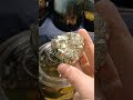 I Definitely Get Why People Call It Fool S Gold Pyrite Gems Crystals Minerals Rocks