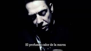 The Kills - Wild Charms (Subtitulado)
