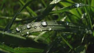 04 Life N Death YOUNG DISCIPLE Young N Willin' Mixtape (Christian Rap)