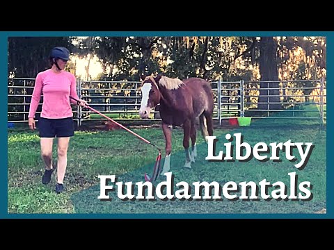 Liberty Fundamentals with Escher the Mustang