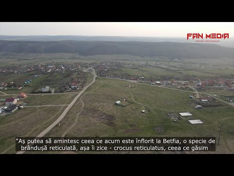 Betfia, Bihor, atracția din apropierea Oradei