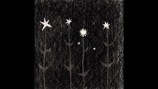 timber timbre -  lonesome hunter