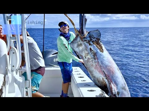 Amazing Giant Bluefin Tuna Fishing Skills || Catching Super Big Tuna In The Sea