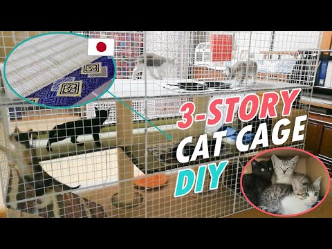 DIY 3-story Cat Cage | 4 kittens have stayed here for 2 night