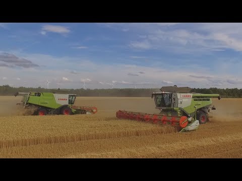 XXL HARVEST | 5x Claas Lexion 780TT & Lexion 770 | Rhea | DJI