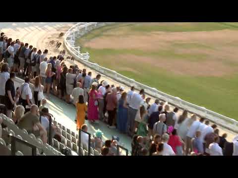 2022.07.01. 03. futam - Kincsem Park Sprint Derby Döntő