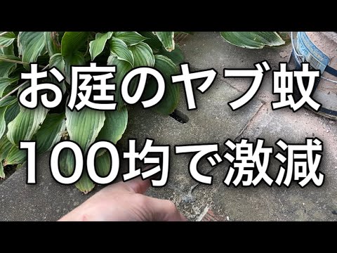 庭での蚊の繁殖を防ぎます。雨水収集装置が付属しています。  庭園