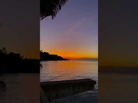 Ezy: MANU O LE VAVEAO COVER - (@JayEmz ) (@kid99)