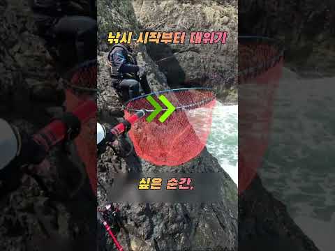 낚시 위기속에 감성돔? #fishing #갯바위낚시 #바다낚시