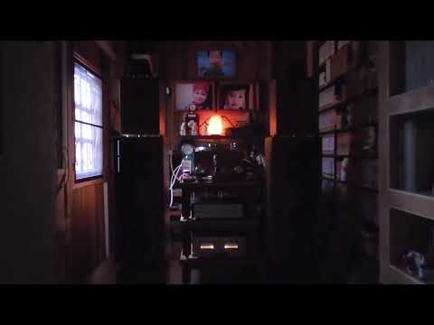 The shadow of your smile ,Georgia on my mind ,Stadust : The bassface swing trio ft.Bruno Muller.