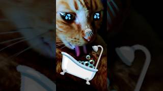 2026/6/15_107 貪舔洗SV #橘ひなの #橘貓 #橘猫 #貓咪日常 #cat #cute #貓貓日常 #貓貓 #可愛い猫 #貓咪