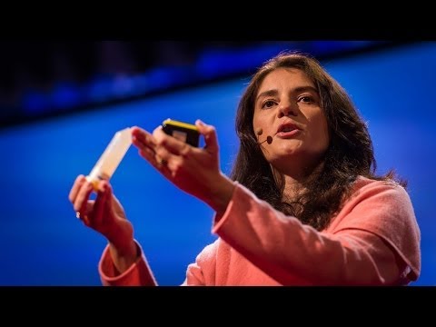 What is so special about the human brain? | Suzana Herculano-Houzel Video