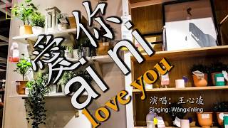 愛你 ài nǐ love you WITH PINYIN AND LYRICS