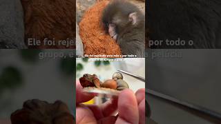 Eu chorei 🥹 #punch #biscuit