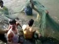 Alibaug Fishing - Sachin Bandekar 1 