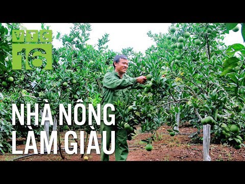 video 2