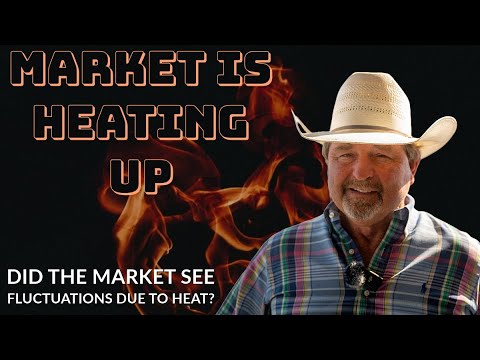 Is the heat affecting the market?