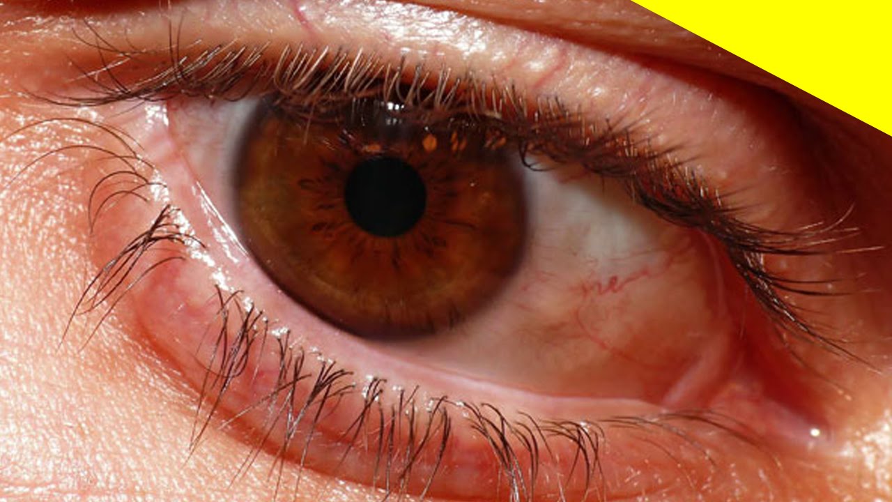 Othón Gittins Núñez-16