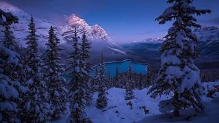 Mientras mi alma sienta LETRA Camilo Sesto- ♥ ♥ ♥