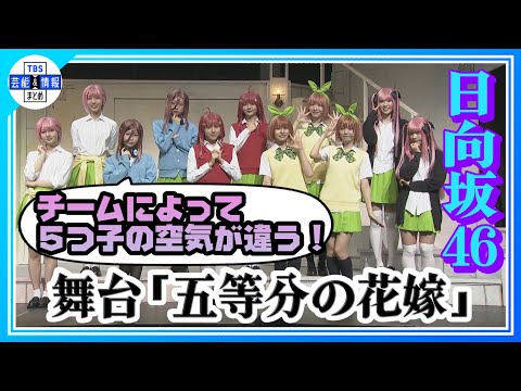 2025/3/8 【舞台 五等分の花嫁×日向坂46】初日会見に登壇！舞台の魅力を語る✨ のサムネイル
