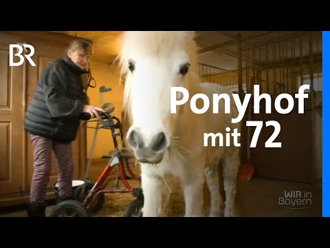 Rentnerin Ria und ihr Pferdehof: Ponypflege mit 72 Jahren