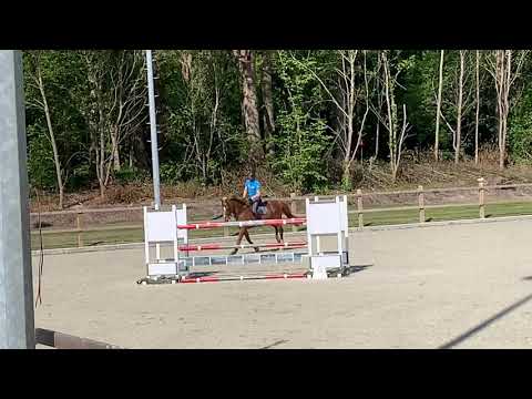 High big andy. Big star jr x Andiamo ‘02