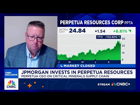 Antimony mine project to take 3 years to build: Perpetua Resources CEO on JPMorgan investment