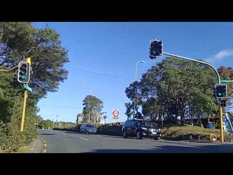 Go around Auckland in level 3 - Find cat's eye snails in Titirangi beach