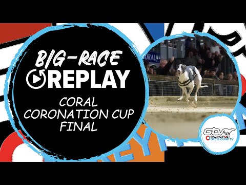 2023 Coral Coronation Cup Final - Antigua Sugar | Greyhound Race Replays | 2023 Big Finals