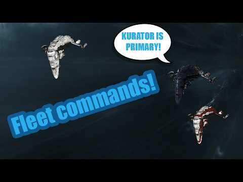 Fleet 102 - Master fleet operations | EVE Online fleet guide