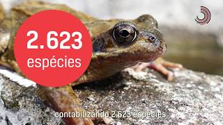 Miniatura do vídeo