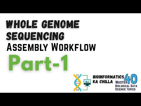 Whole Genome Sequencing Assembly Workflow Part 1 From Zero to Hero